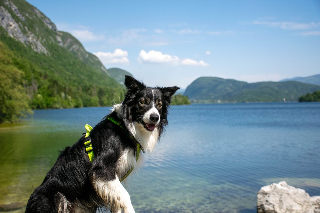 This image has an empty alt attribute; its file name is cash-0387-1024x683.jpg